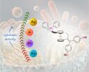New Heterobimetallic Complexes with Anticancer Activity